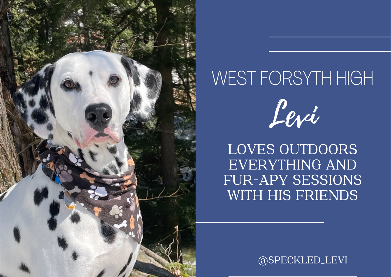 levi